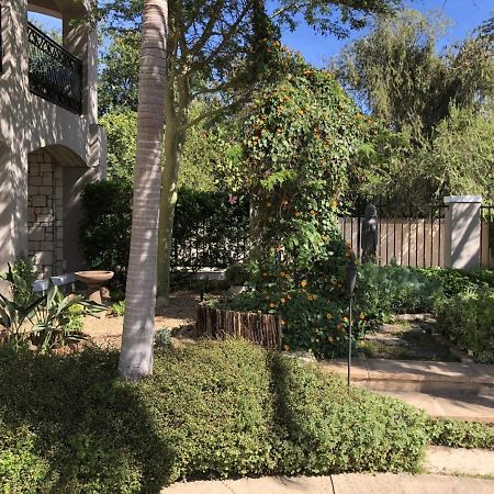 African Palm Cottage And Guesthouse Durbanville Exteriör bild